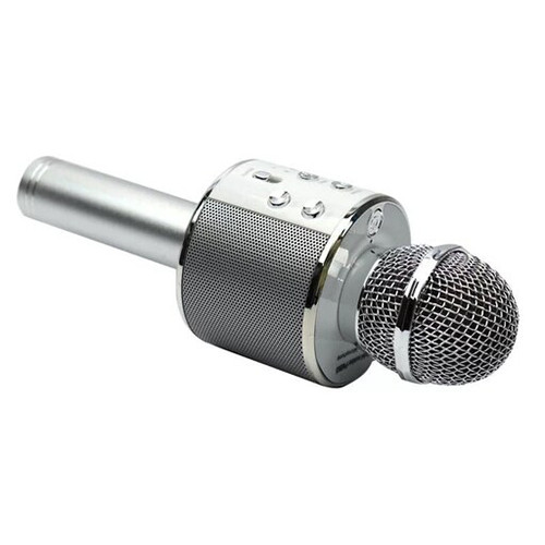 میکروفون اسپیکر مدل WSTER WS-858 قابلیت افکت صدا