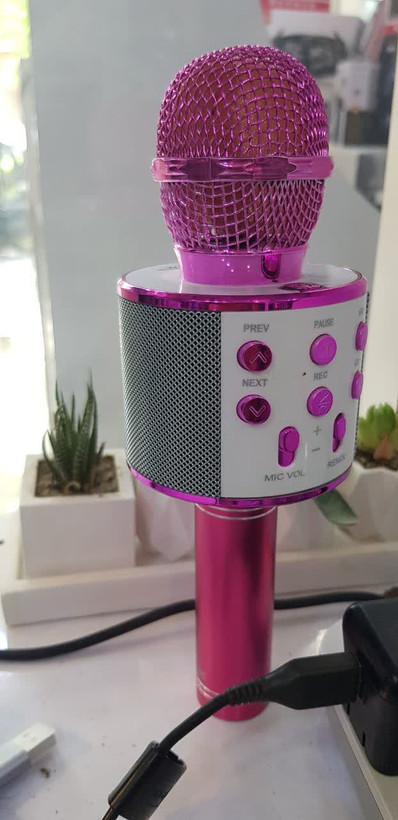 میکروفون اسپیکر مدل WSTER WS-858 قابلیت افکت صدا