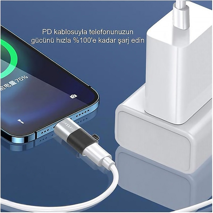 مبدل USB-C به لایتنینگ ارلدام مدل TC17