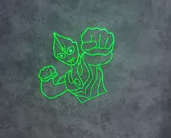 لیزر سبز رویلانگ برد بالای 2کیلومتر Ruilang-Green laser